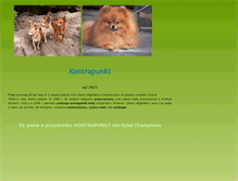 Tablet Screenshot of kontrapunktpodengo.com